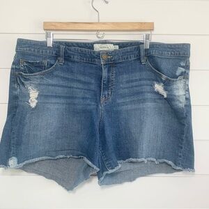 TORRID Wear what you love Jeans shirts Size 24